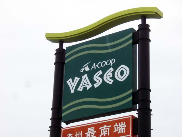 vaseo1